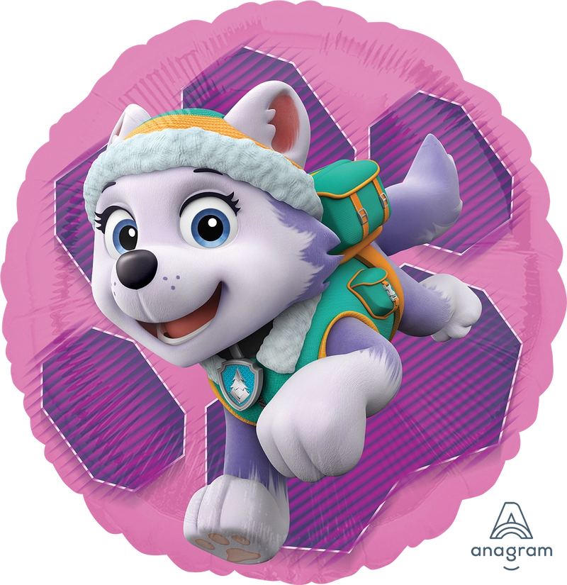 18" PAW PATROL SKYE & EVEREST FOIL