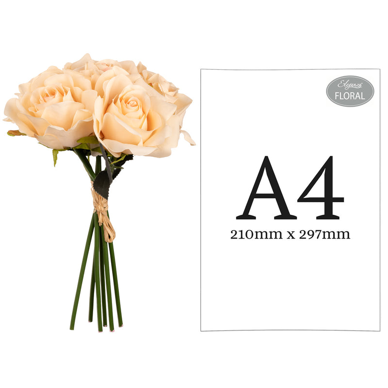 FLORAL: ELEGANZA EUGENIE ROSE BUNCH X 6 NUDE