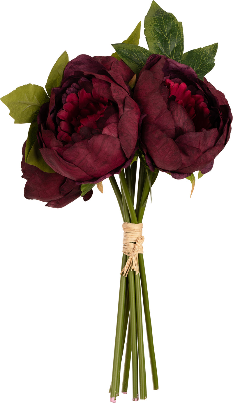 FLORAL: AURORA PEONY BUNCH X 5 BURGUNDY