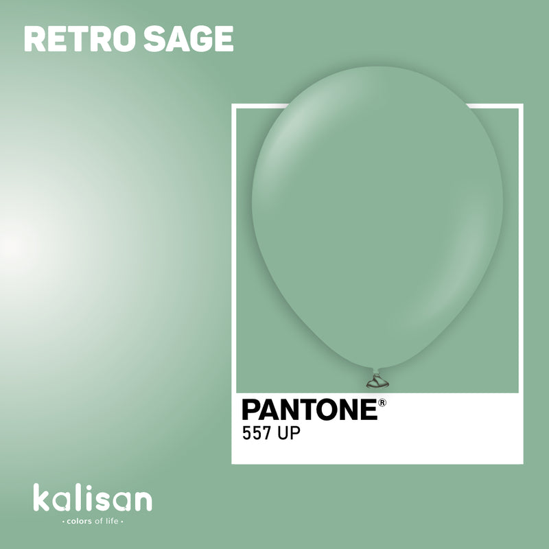 24" KALISAN RETRO SAGE LATEX (2 PER BAG)